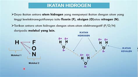 senyawa yang dapat membentuk ikatan hidrogen